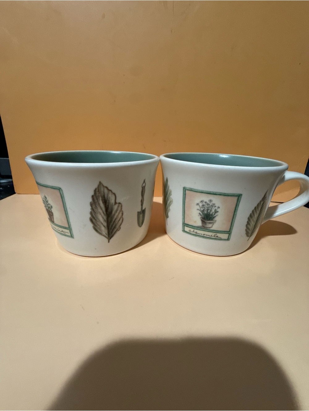 Pfaltzgraff Cream Mug with Sage Green Interior and Botanical Motif